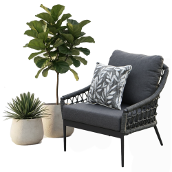 Lounge Armchair (with cushions) SUNART SUN 54G / ANTHRACITE