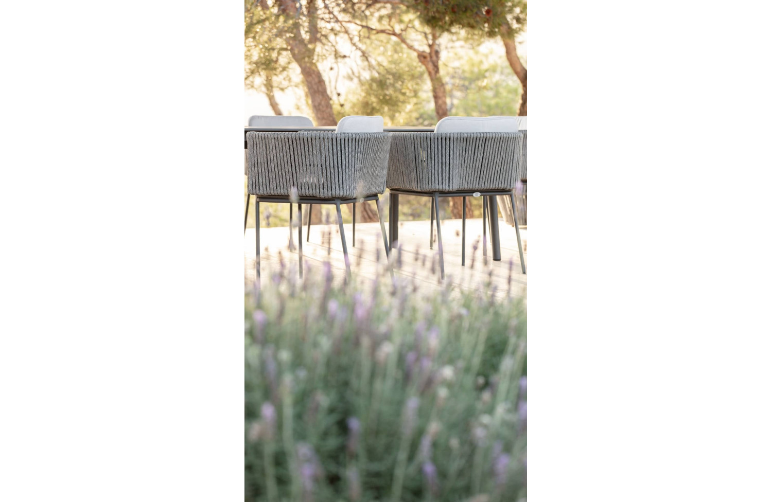 Dining armchair (without cush) SKYLINE DESIGN , BOSTON 24157-LG