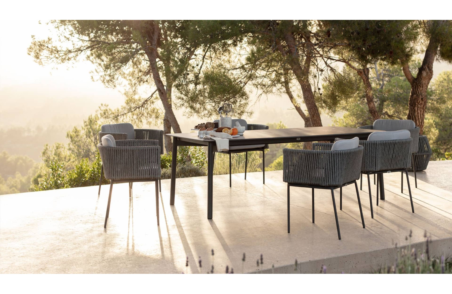 Dining armchair (without cush) SKYLINE DESIGN , BOSTON 24157-LG