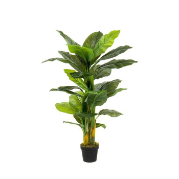 Спатіфілум куст 130 cm (28 лист EMERALD 425736