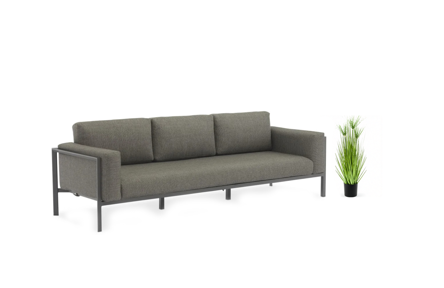 Циперус кущ 75 cm EMERALD 422394