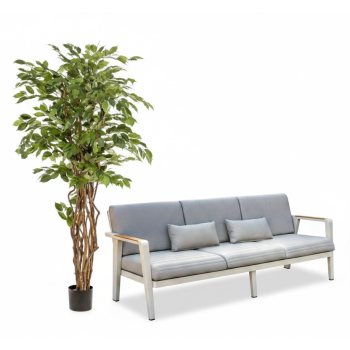 Ficus liana 170 cm EMERALD 350.150