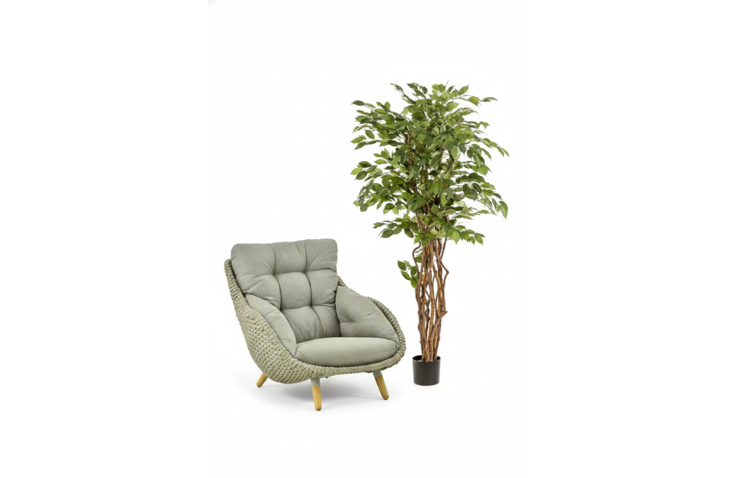 Ficus liana 170 cm EMERALD 350.150