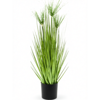 Krzew Cyperusa 75 cm EMERALD 422394