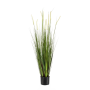Wysoka trawa Alopecurus / FOXTAIL 120 cm EMERALD 418166
