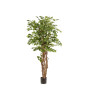 Ficus liana 170 cm EMERALD 350.150