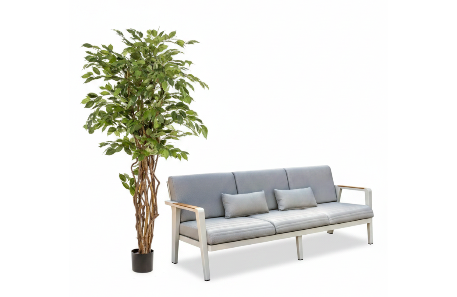 Ficus liana 170 cm EMERALD 350.150