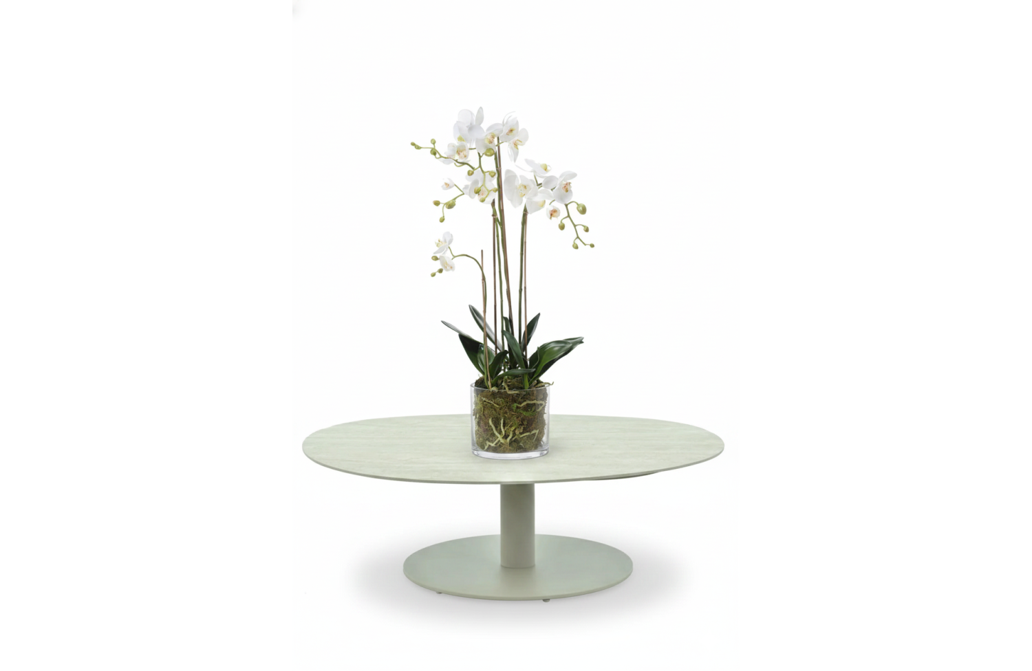 Phalaenopsis (Orchid) 80 cm EMERALD 20.354