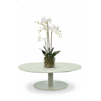 Phalaenopsis (Orchid) 80 cm EMERALD 20.354