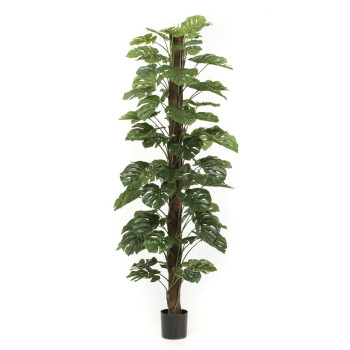 Monstera on pole 210 cm (72 lvs) EMERALD 422992
