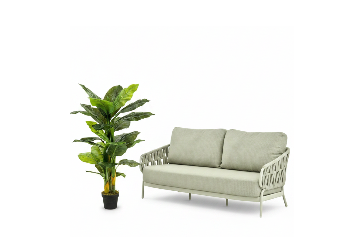 Spathiphyllum 130cm (28lvs) EMERALD 425736