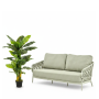 Spathiphyllum 130cm (28lvs) EMERALD 425736