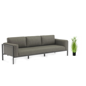 Cyperus haspan 75 cm EMERALD 422394