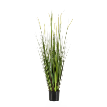 Grass Alopecurus / FOXTAIL 120 cm EMERALD 418166