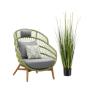 Grass Alopecurus / FOXTAIL 120 cm EMERALD 418166