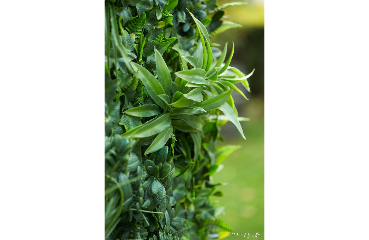 Forest wall mix mat weather res 100 см*100 cm EMERALD 427691