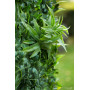 Forest wall mix mat weather res 100 см*100 cm EMERALD 427691