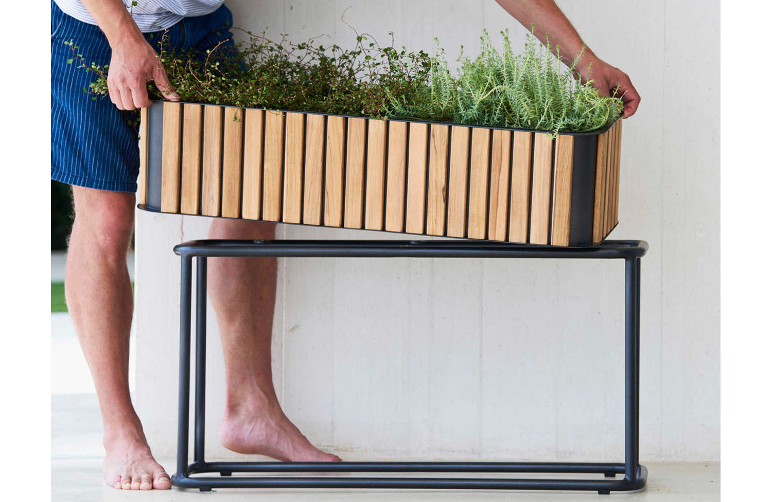 Kwietnik jest wysoki CANE-LINE COMBINE 5706TAL