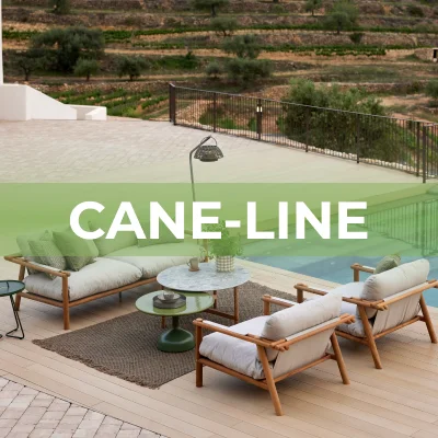 Cane-line
